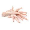 Halal Chicken Feet Frozen Chicken Paws Brazil wings for export