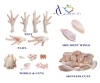 Halal Frozen Chicken Thighs Meat Boneless Skinless for export