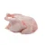 Import Halal Frozen Whole Chicken from USA