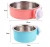 Import Hanging pets water dispenser stainless steel dog cat automatic pet feeder from China