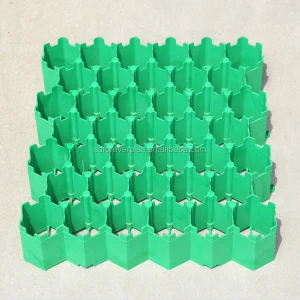 hdpe plastic grass grid used in the lawn