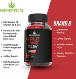 Hempyun-Vegan Immune Support Healthy Weight Loss Apple Cider Vinegar Gummies with Multiple Vitamins