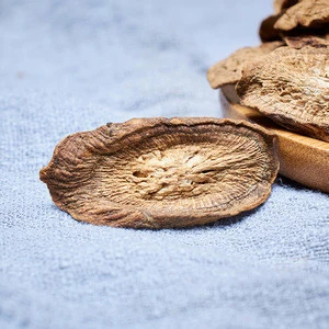 Herbal Medicine Organic Dried Wild Teaarctium Lappa Burdock Root Price