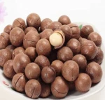 High Grade Healthy Snack Food Organic Certified Supplier Macadamia Nuts