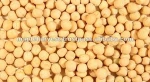 High Quality and Best Selling Yellow Peas
