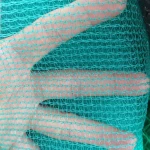 High Quality Chinese Factory Supplier HDPE European Scaffold Safety Net/Construction Safety Scaffolding Net