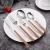 Import High quality Cutlery Set Knife Fork Spoon Unique design Stainless steel matte gold Oem Customized Logo flatware dinnerware sets from China