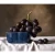 Import high quality fresh grapesfrom China from China