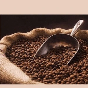 High quality Grade A 2019 roasted robusta coffee beans from India