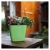 Import High quality long duration time lowes flower pots from China