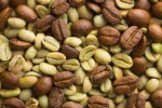 High Quality Pure Roasted Coffee Beans Arabic / COFFEA from Brazil