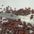 Import high quality red cowpea cow pea beans China lower price from China