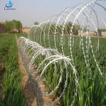 High Security Hot Dippped Galvanized or PVC Coated Concertina Razor Barbed Wire