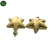Import Holiday decoration Plastic stars Christmas trees hang stars from China