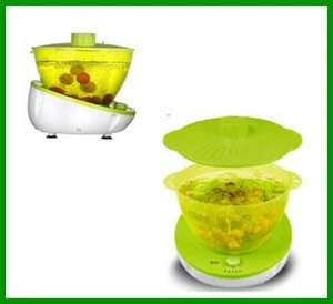 Home Fruit and Vegetable Washer