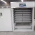 Import Home use! Automatic capacity 1056 chicken egg incubators for sale from China