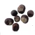 Import Horse chestnut extract Aescin powder Horse chestnut seed extract from China