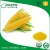 Import Hot sale feed grade corn protein meal powder / zein / corn gluten from China