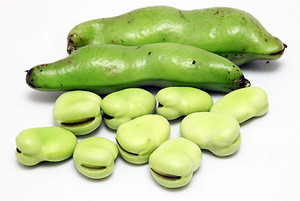 Hot sale frozen fresh green broad bean  Vicia faba