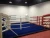 Import Hot Sale Training Floor Boxing Ring from China