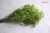 Import Huayu decorative babysbreath dried flowers kunming for sale from China