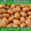 Human Health and Disease Prevention Natto Extract, Natto Powder, Natto P.E.