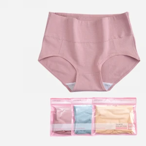 Independent Packing Plus Size Ropa Interior Femenina Ladies Underwear Women Panty