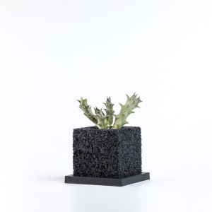 Indoor circular black and white lava rocks and activated carbon  planters bonsai pots