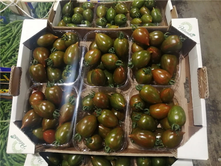 Italian Zebrino Wholesale Yellow Tomatoes Fresh Tomatoes