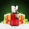 Juice extractor fully automatic, low speed large-caliber home appliances juice extractor