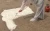 Import JX closed cell polyurethane fireproof pu foam insulation kit from China