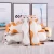 Import Kawaii Cat Pillow with Zipper and PP Cotton Biscuits Plush Cat Animal Doll Kids Child Baby Peluche Gift Pushin Toy Cheap from China