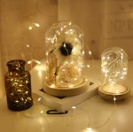 Led copper wire 10m battery box lamp string waterproof holiday lights Christmas lights wedding hotel rice lamp string lights