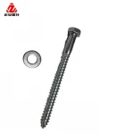 LEITE Hex Head 3/8 X 6