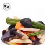Low fat fruit and vegetable crisps snack food manufacturer suppliers