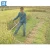 Import Low price cordless grass trimmer|petrol grass trimmer from China