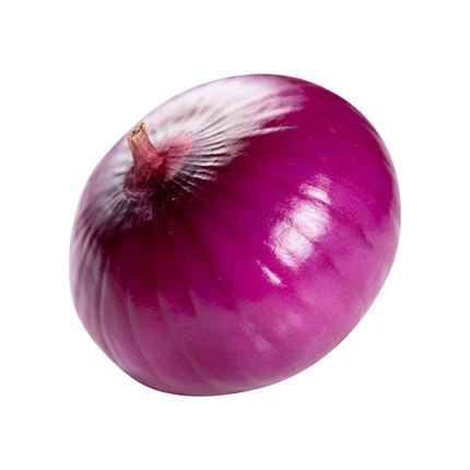 Lowest Price Natural Bulk Natural Fresh Red Onion Fresh Chinese