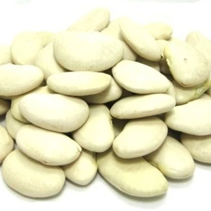 lupini beans for Cooking & Baking High Quality Standard/ Lupini Beans.