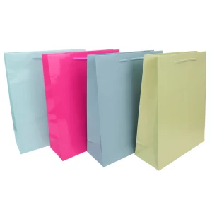 Luxury Soild Color Printed Coated Paper Shopping Gift Bags