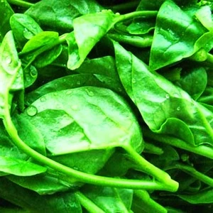 Malabar Spinach Vegetables/ Mekong herbals