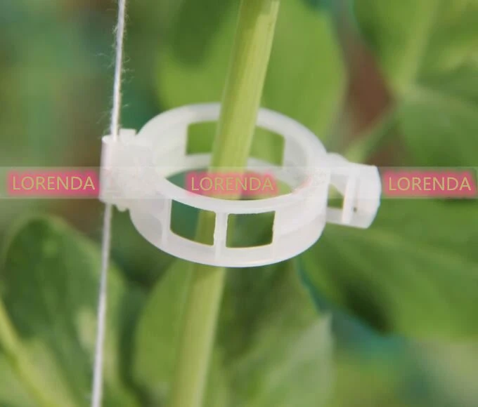 Manufacture cheap plastic buckle plant hanger hanging seedlings transparent plant silicon tomato vine graft clip