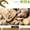 Market Price of Organic Fresh , Dry Ginger