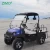 Import Mini Cheap Golf Cart For Sale from China