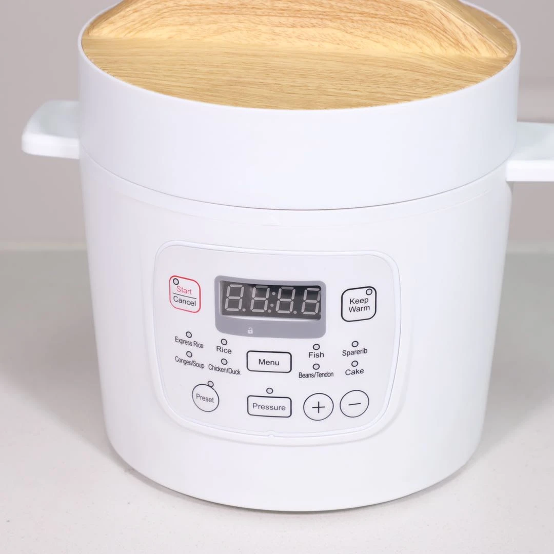 Mini Electric non-stick pressure cooker