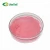 Import Natural 100% Instant Water Soluble Fruit Or Vegetable Juice Concentrate Powder from China