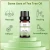 Import Natural tea tree essential oil beauty skin care conditioning anti-wrinkle from China