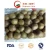 Import New Crop High Quality Fresh Kiwi Fruit (80-150g) from China