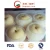 Import New Crop High Quality Fresh Pear (36/40/44/48/72/80/96/112) from China