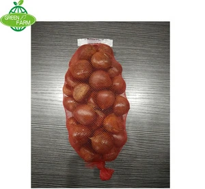 new crop raw chinese fresh chestnut