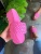 Import New Design Big Size Platform Slippers Women Slides Sandal Summer Slides Slippers Women from China